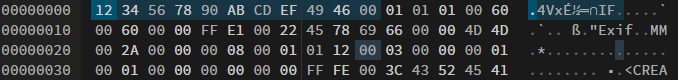 Corrupted JPEG header in the hex editor
